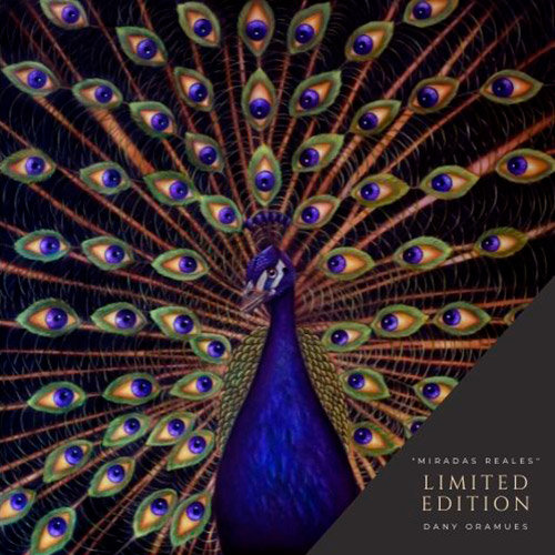 Edición limitada obra surrealista, en la que se muestra un pavo real cuyas plumas se transforman en ojos